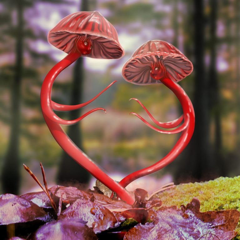 Sweet fantasy mushroom character inspired by ruby bonnets