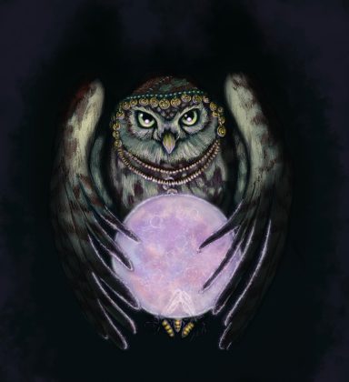 The Fortune Teller Magical fortune-telling owl with a crystal ball held by glowing fireflies in a whimsical, hand-drawn fantasy illustration by Studio Sasafras